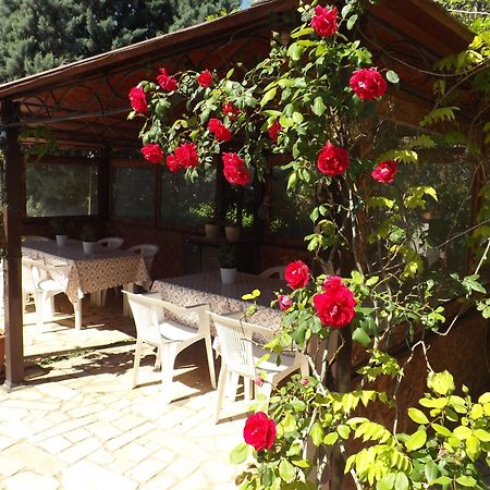 B&B Villa Lena Тури Экстерьер фото