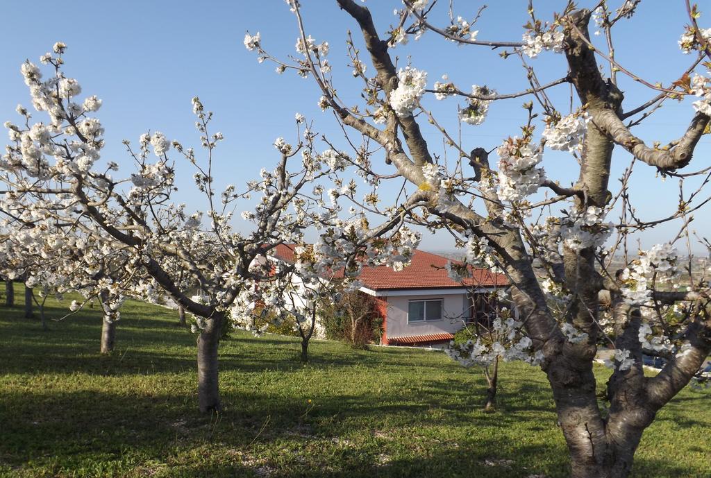 B&B Villa Lena Тури Экстерьер фото