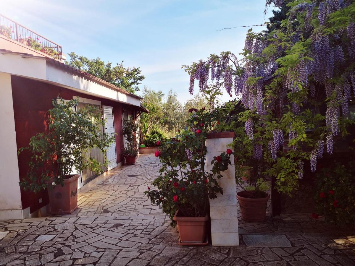 B&B Villa Lena Тури Экстерьер фото