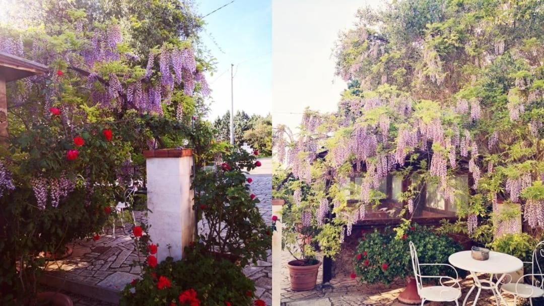 B&B Villa Lena Тури Экстерьер фото