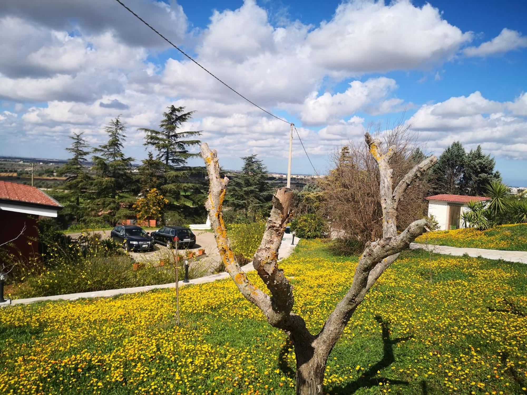 B&B Villa Lena Тури Экстерьер фото