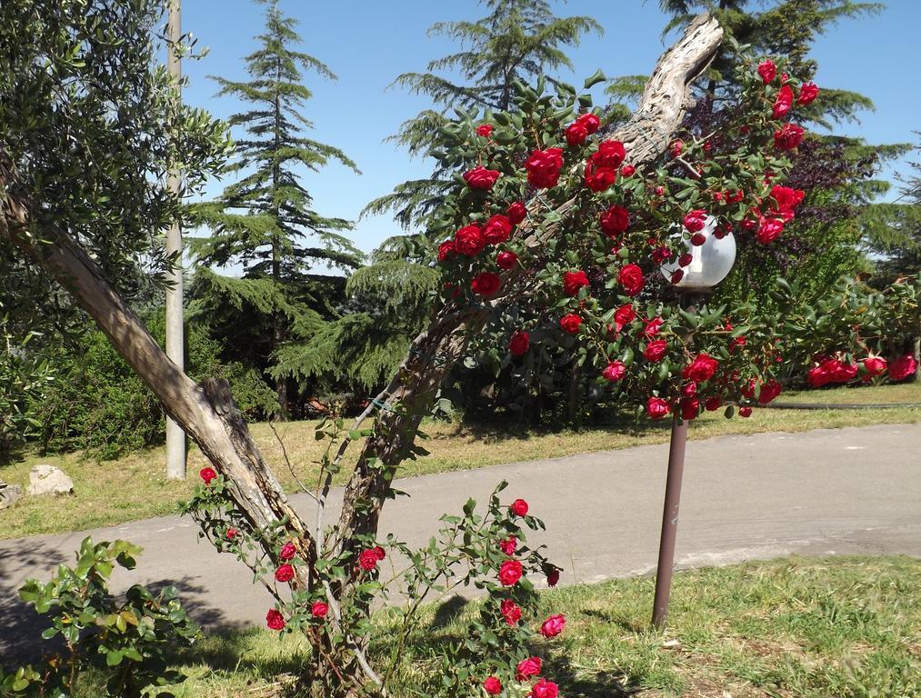 B&B Villa Lena Тури Экстерьер фото